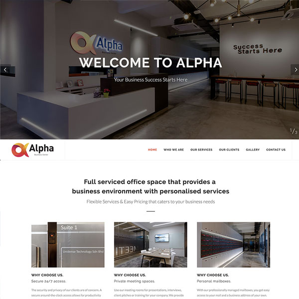Alpha Executive Website Design