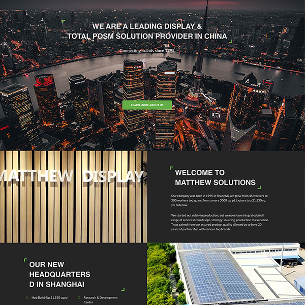 Matthew Solutions Website Design